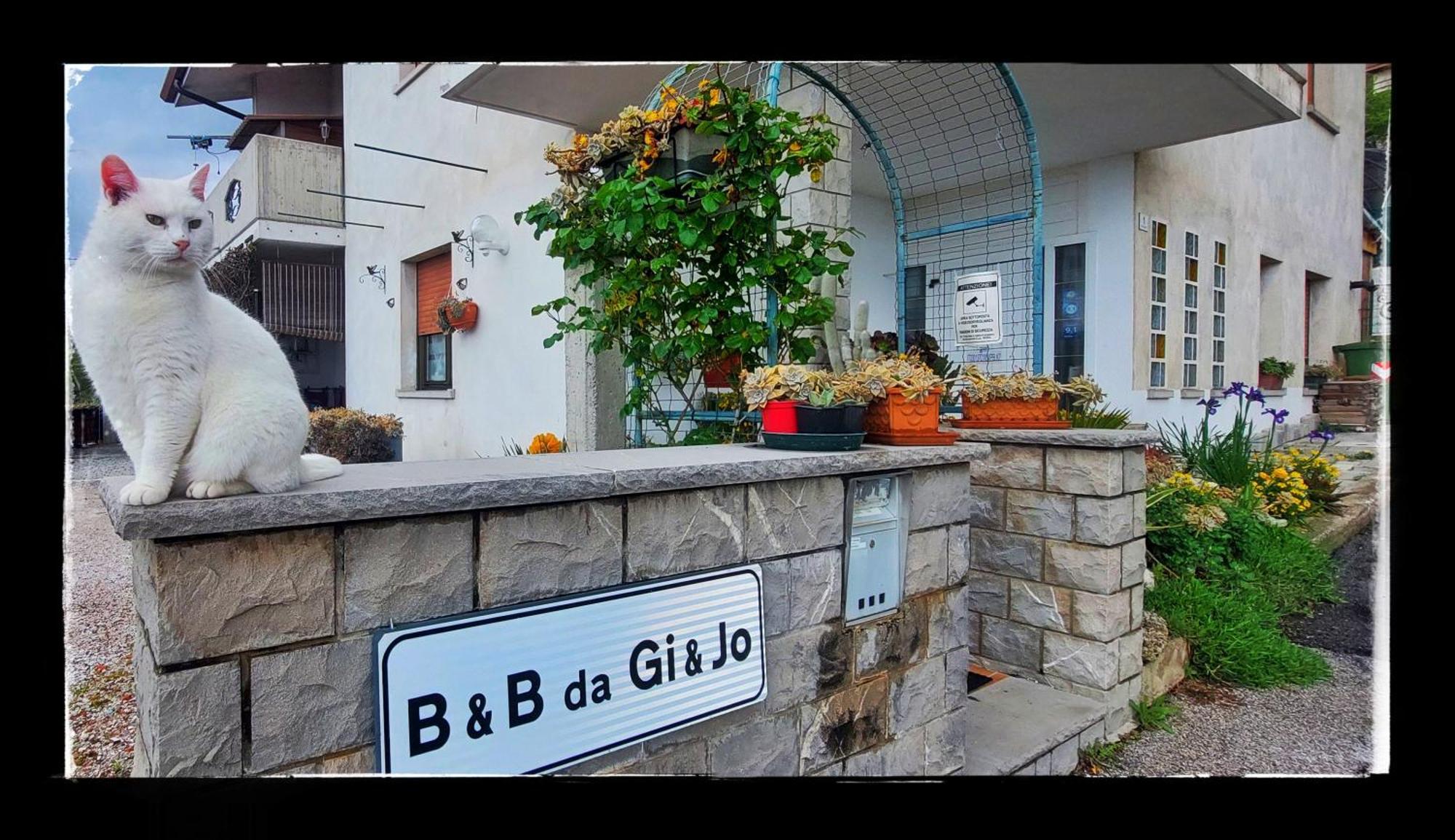 B&B Da Gi&Jo Forgaria nel Friuli Екстериор снимка